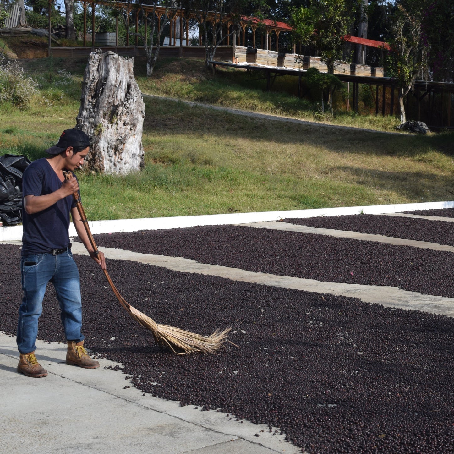 Montalt - San Jose Ocana - Guatemala