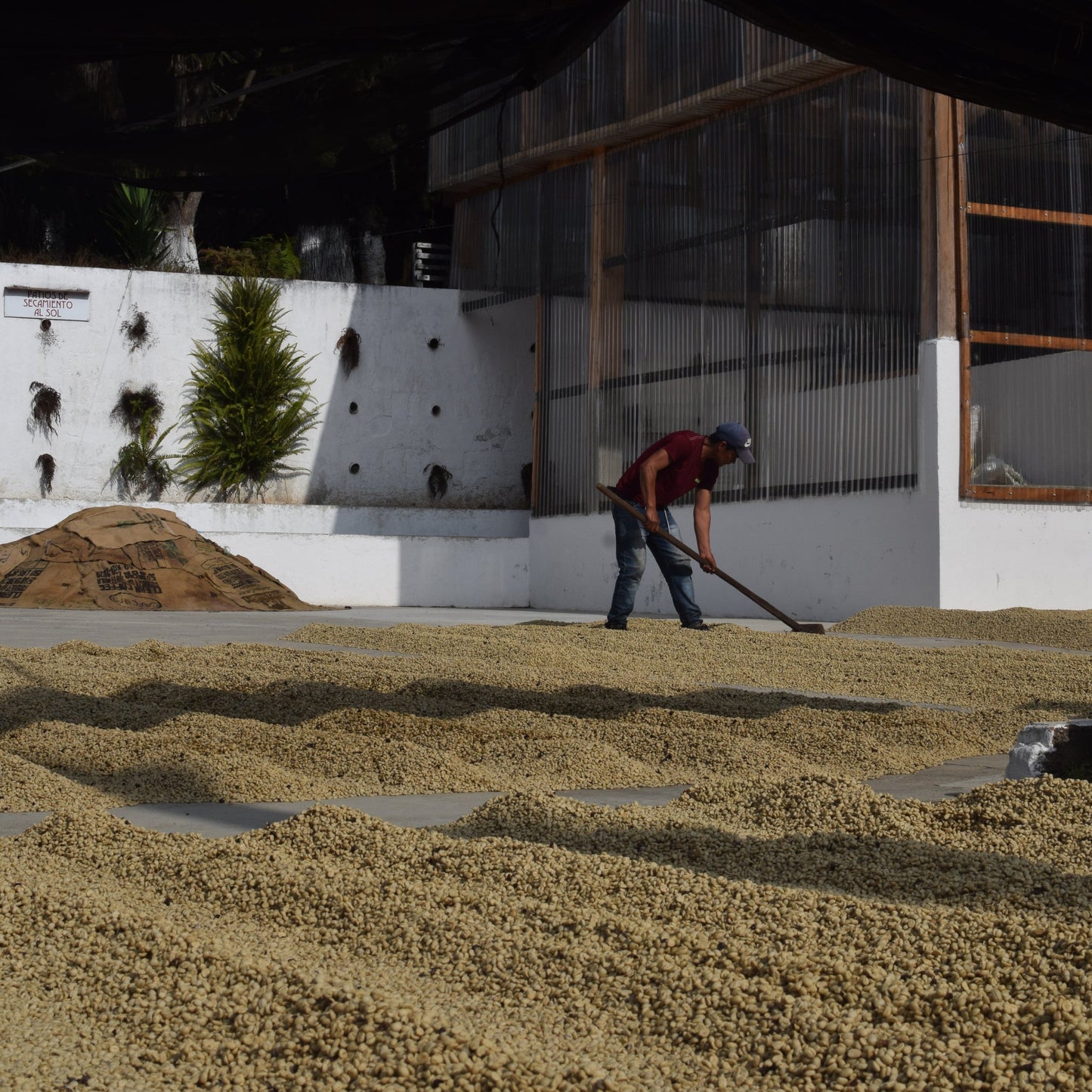 Montalt - San Jose Ocana - Guatemala