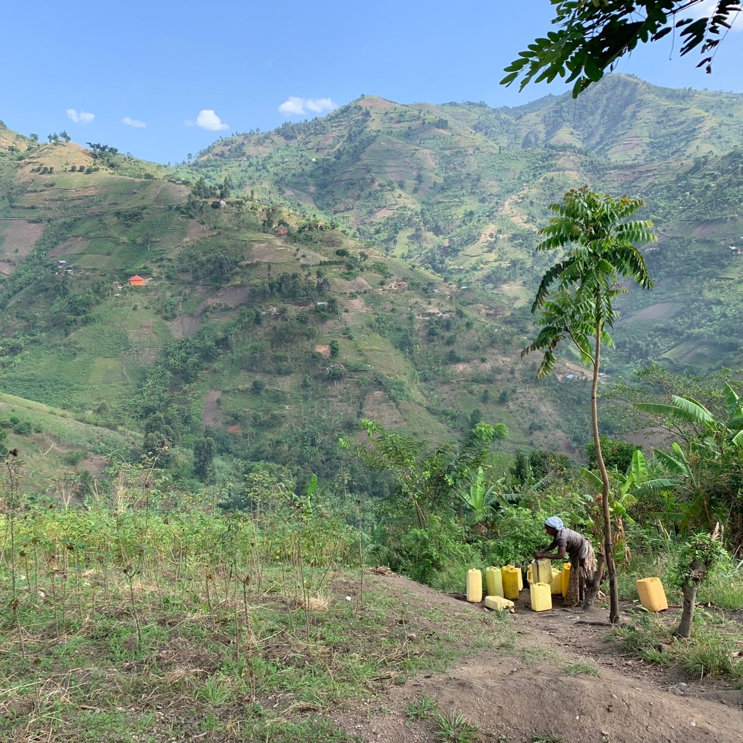 Tarmangie - Buzira - Uganda