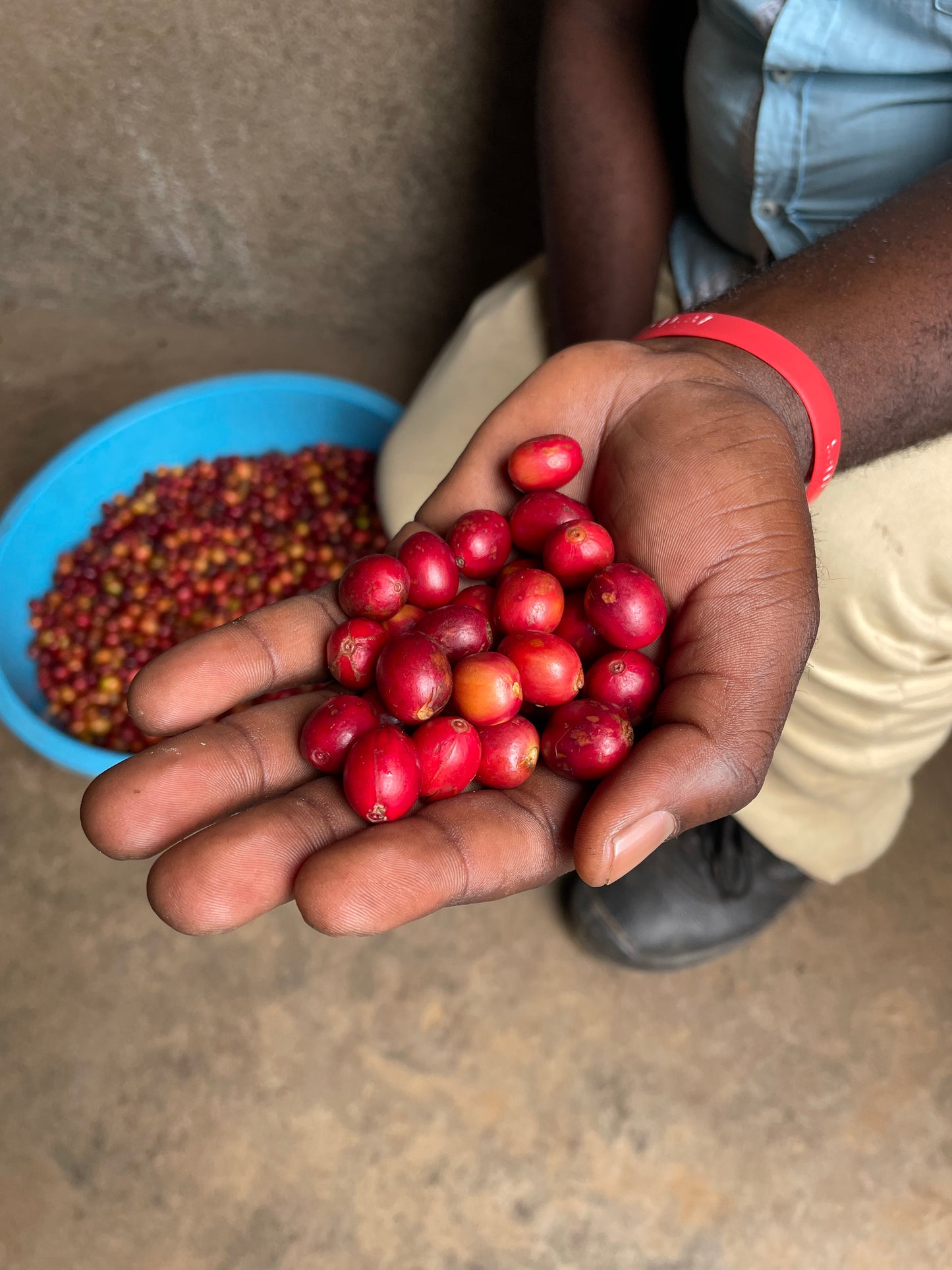 Tarmangie - Buzira - Uganda