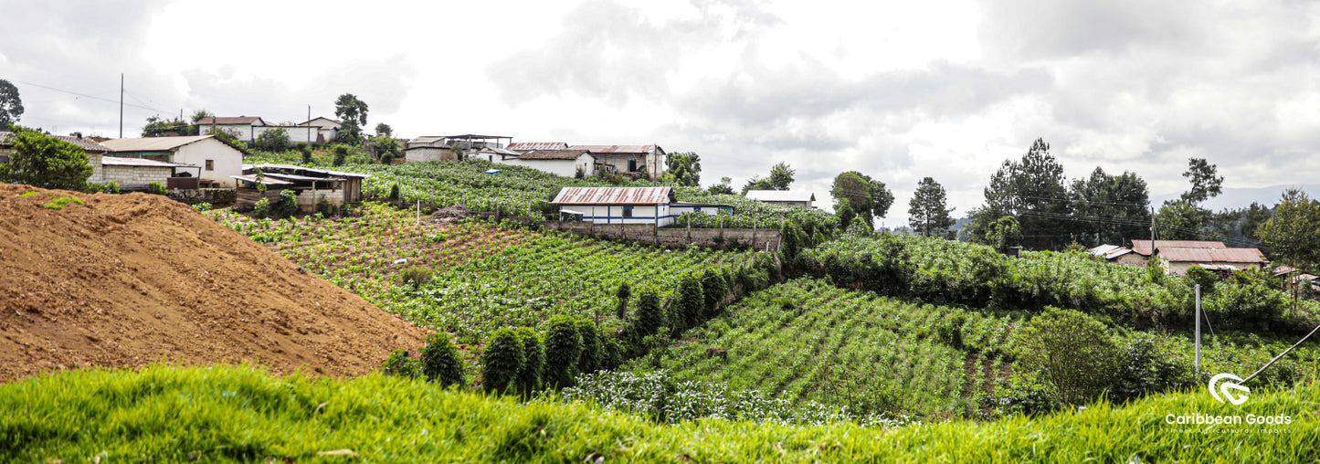 Montalt - Hunbatz - Guatemala