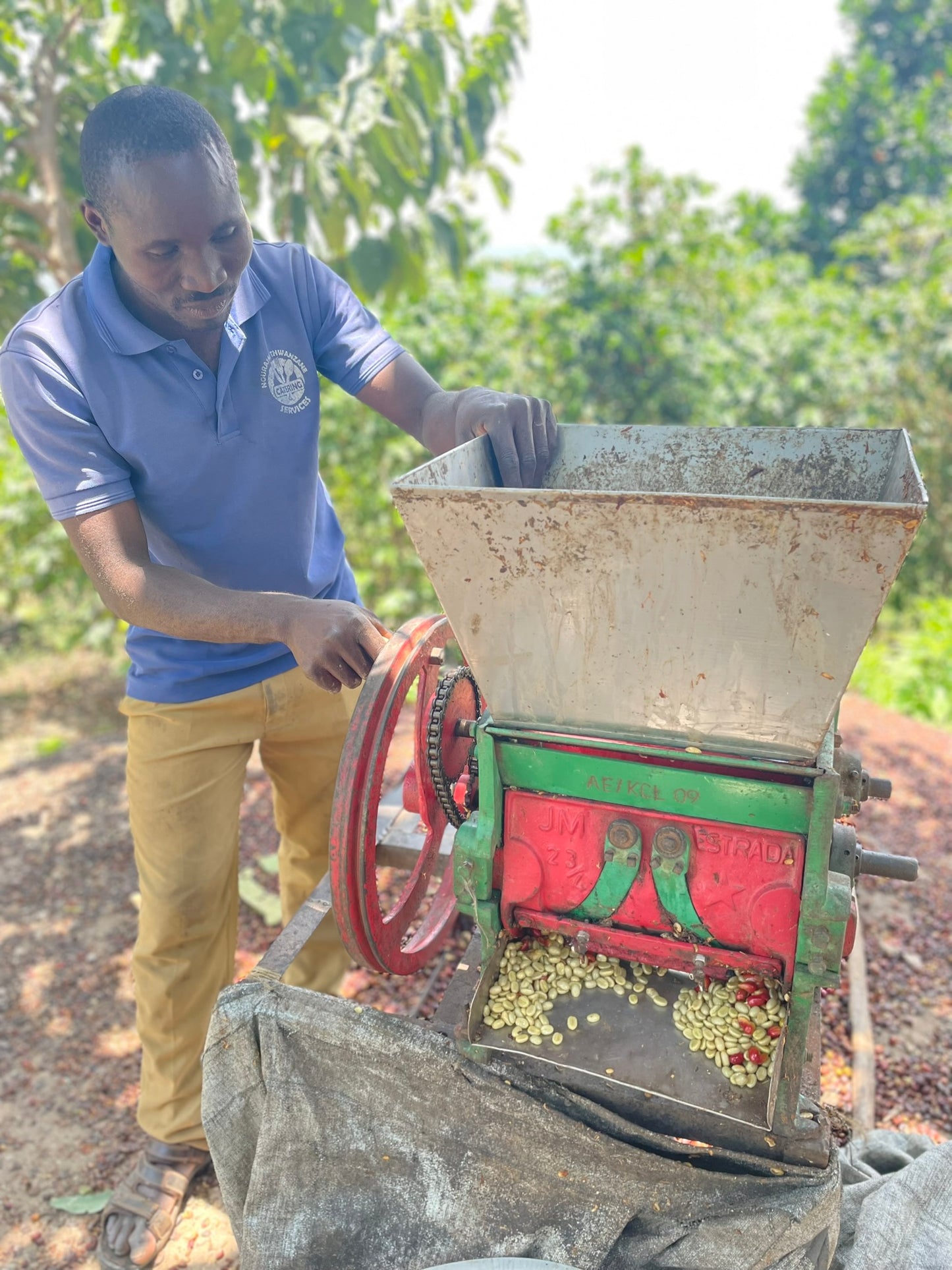 Tarmangie - Buzira - Uganda